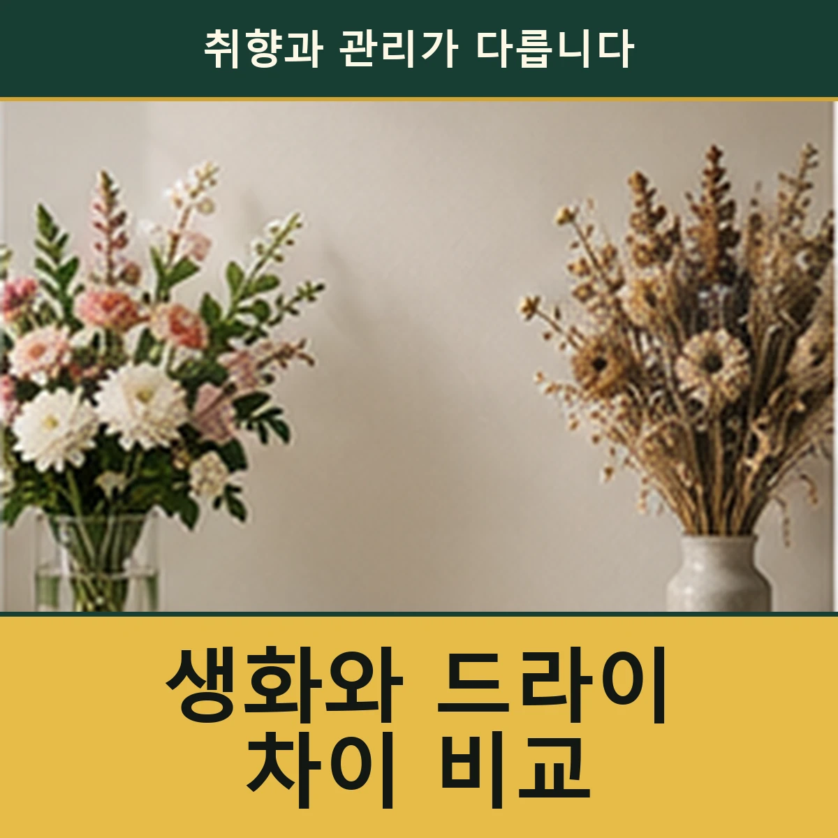 드라이플라워와 생화, 선물 목적에 맞게 비교하는 법 안내 이미지