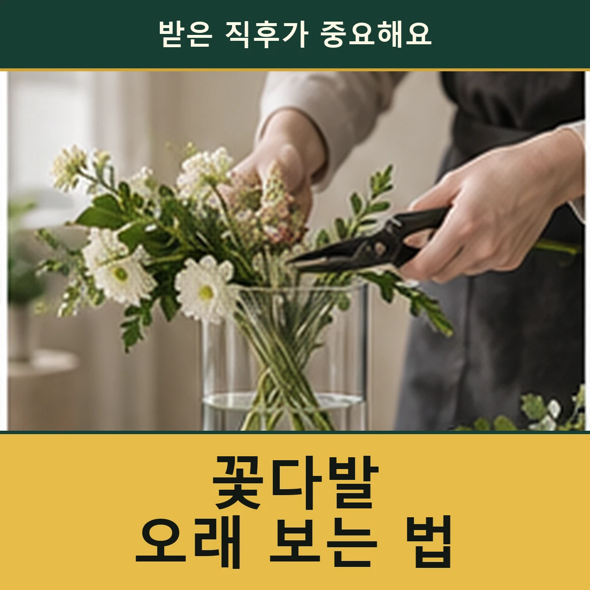 꽃다발을 받은 날, 무엇부터 해야 오래 보기 좋을까요? 안내 이미지