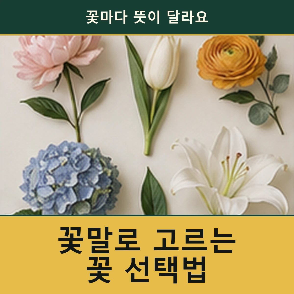 꽃말로 선물을 고를 때 뜻보다 먼저 볼 것 안내 이미지