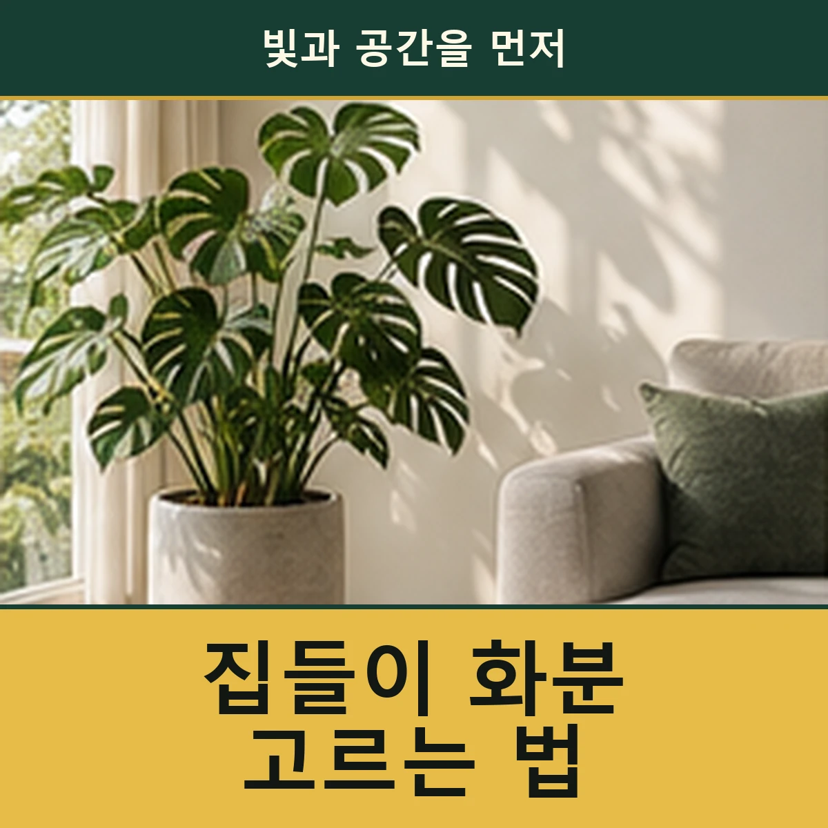 집들이 화분, 식물 이름보다 집의 빛과 공간부터 보세요 안내 이미지