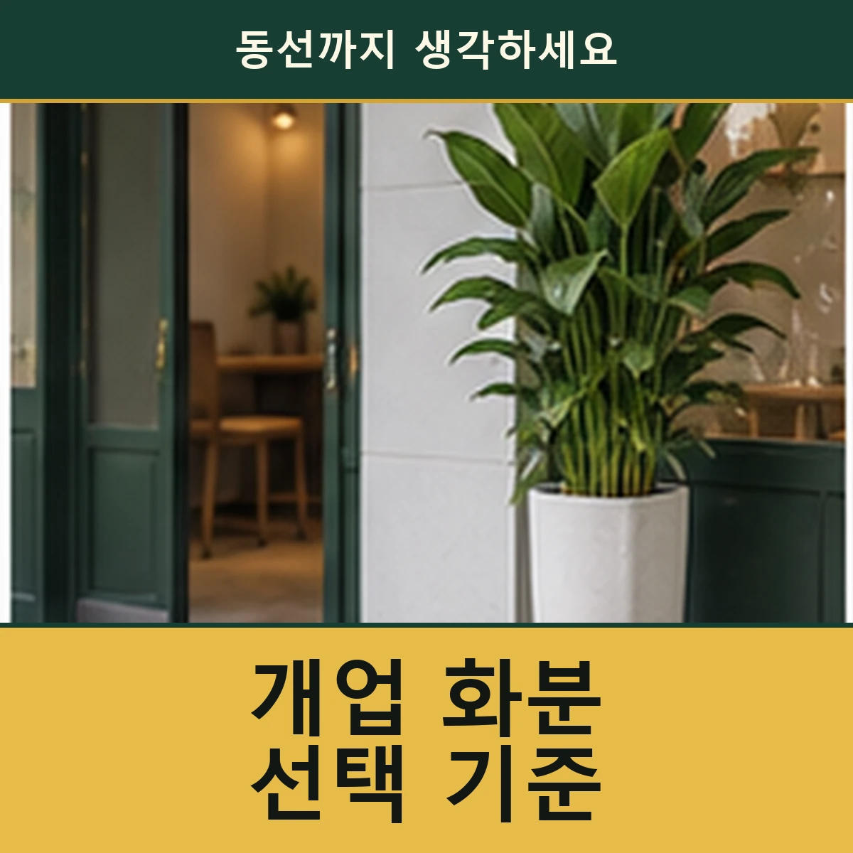 사무실·매장 개업 화분, 동선과 관리 담당자까지 확인하세요 안내 이미지