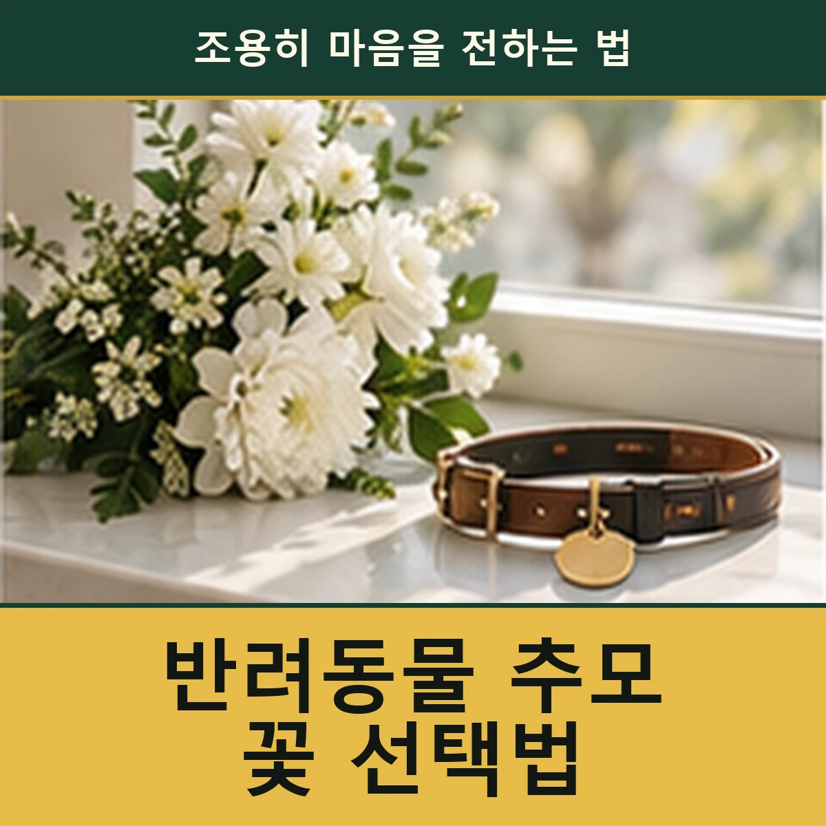 반려동물 추모 꽃, 가족의 방식과 장례시설 기준을 존중하는 선택 안내 이미지